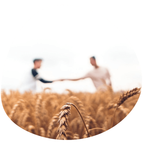 agriculteur qui sert la main à un autre