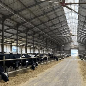 Ferme laitière